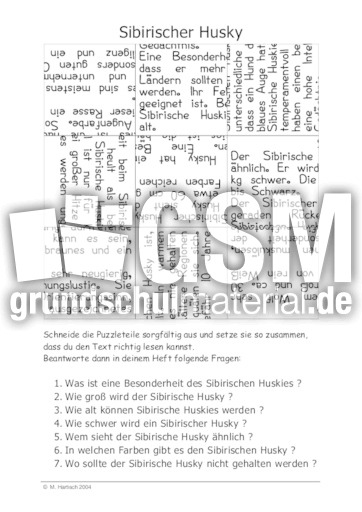 Sibirischer Husky.pdf